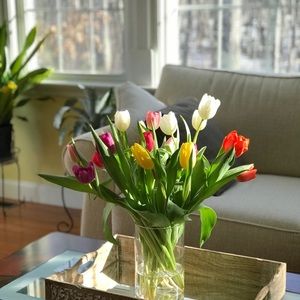 Meet your Posher, Shravanthi